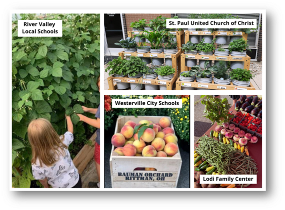 Summer Challenge Winners