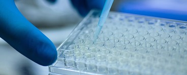 Pipette samples into well plate