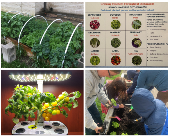 Growing Teaching Throughout the Seasons