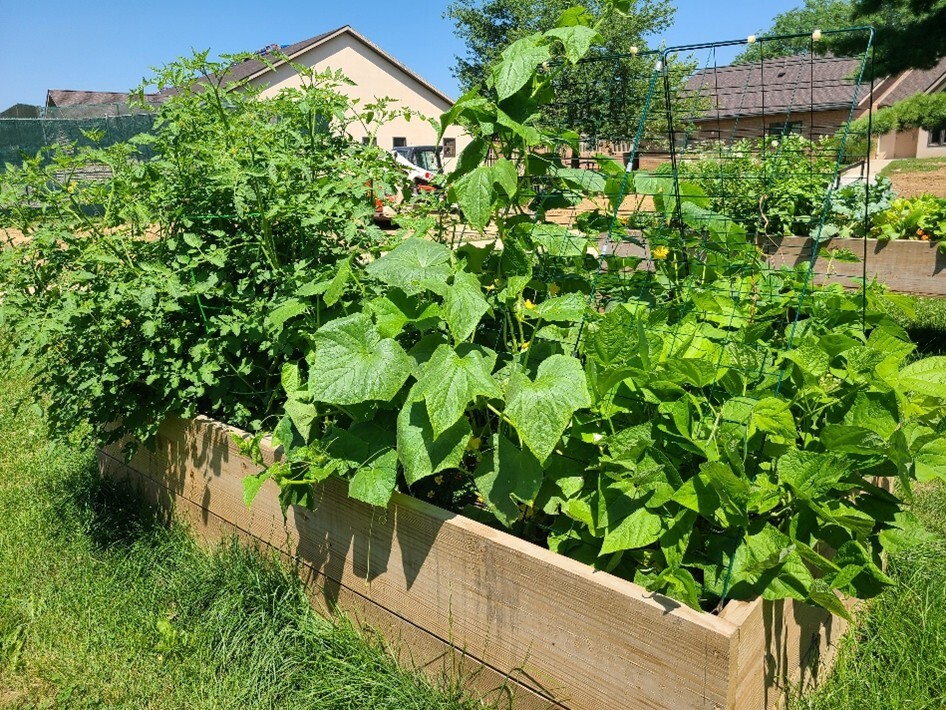 Grow Ohio Grant Awardees Photo