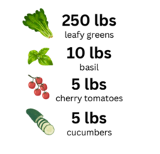 Hydroponic Nutrition