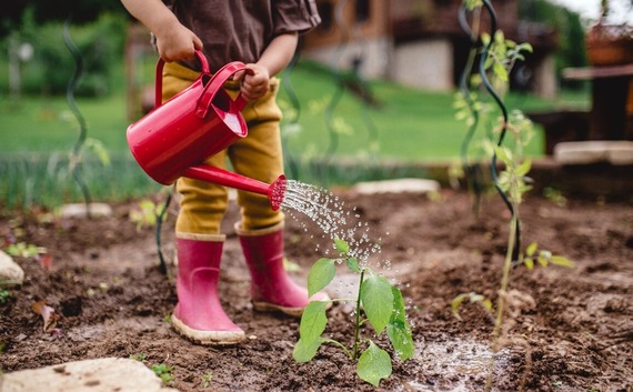 Patrick Leahy Farm to School Grant Awards Announced