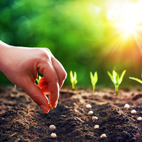 Ohio Middle Level Association Conference