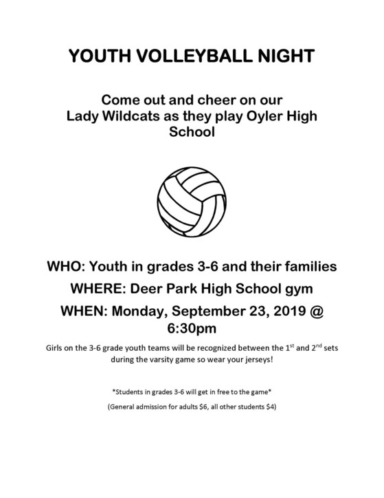 Youth Volleyball Night