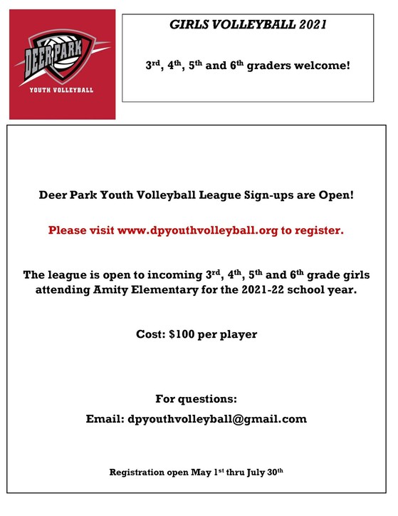 Volleyball Flyer