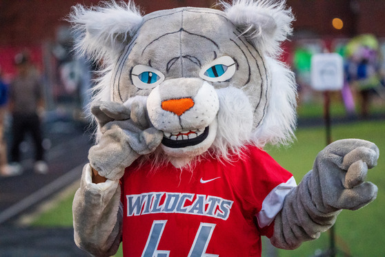 Wildcat