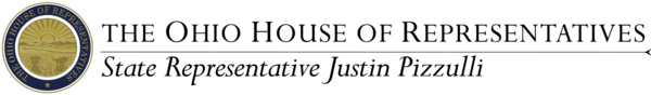 Pizzulli Banner