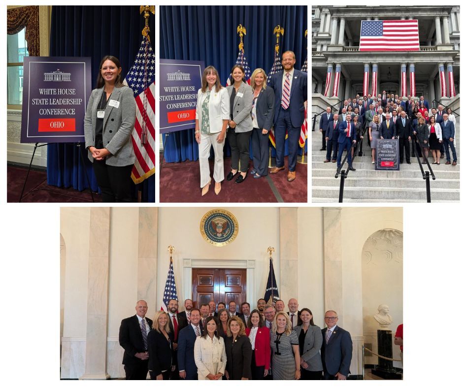 DC Photo Collage