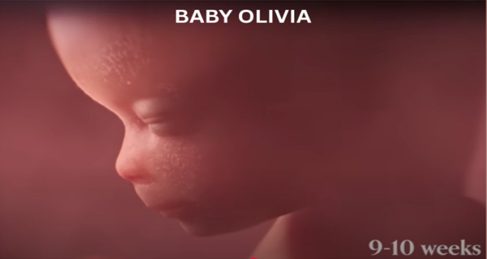 baby olivia