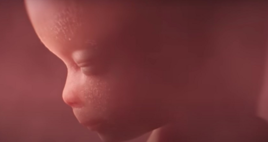 Baby-Olivia-Act