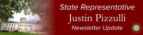 Pizzulli Newsletter Banner
