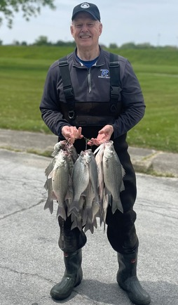 Rep. Romer holding several fish