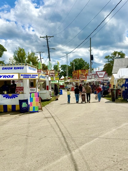 Sandusky Co. Fair