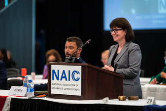 picture of Director French speaking at podium