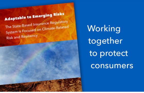 picture of NAIC article cover