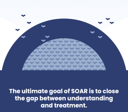 picture of SOAR logo