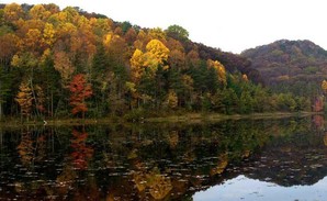 Shawnee State Forest