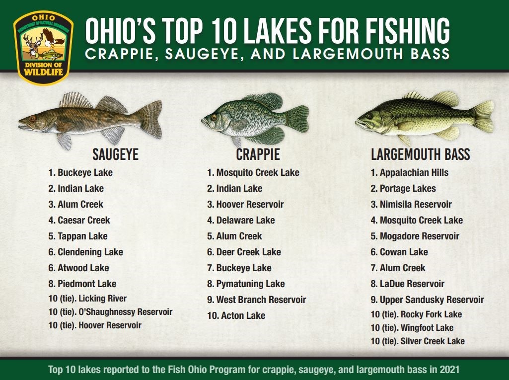 Ohio's Top 10 Lakes for Fishing