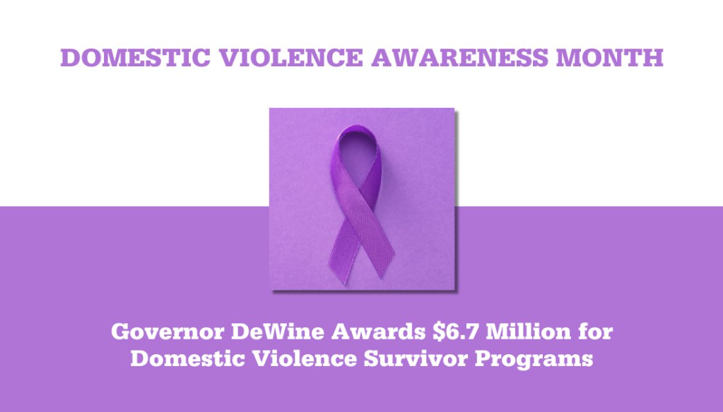 Domestic Violence survivors graphic