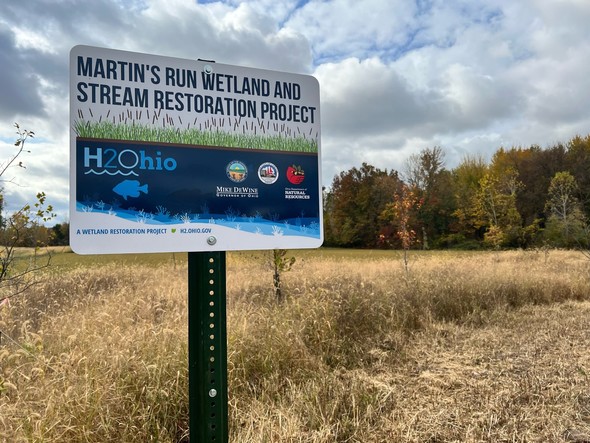 Wetland restoration project