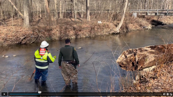 Creek Monitoring