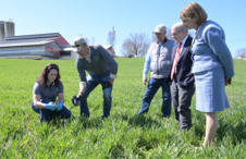 Plant tissue sampling