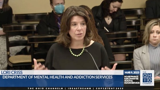 budget testimony 3923