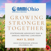 NAMI Advocacy Day logo