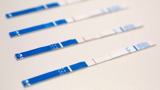 fentanyl test strips