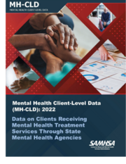 Client Level Data Report cover