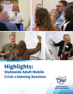 AMC Highlights report