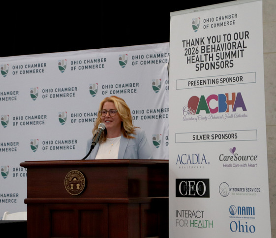 Chamber of Commerce BH Summit