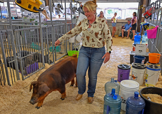 Battle for Bacon