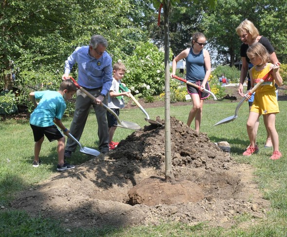 Governor DeWine tree planting