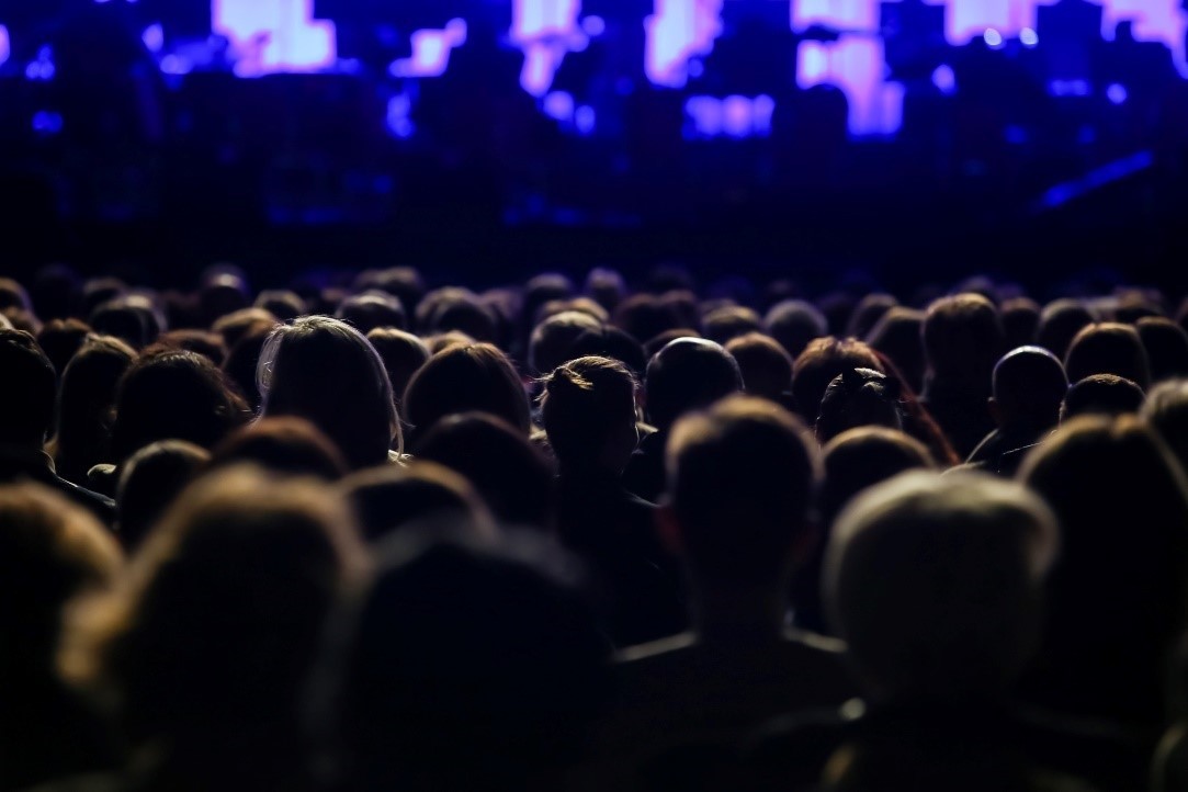 photo from a concert showing the back of the  audience's heads