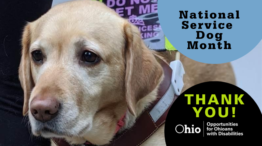 Photo of service dog with text: National Service Dog Month, Thank you!