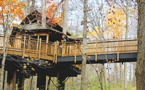 Image of large treehouse in the woods