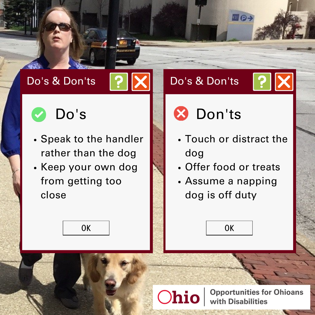 Woman with service dog and text with the do's and don'ts  when you see a service dog 