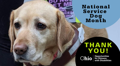  Photo of a senior dog with text: National Service Dog Month , Thank You,  and OOD Logo