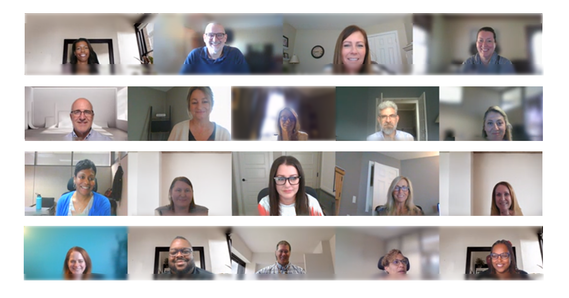 19 DD staff on a Microsoft Teams call 