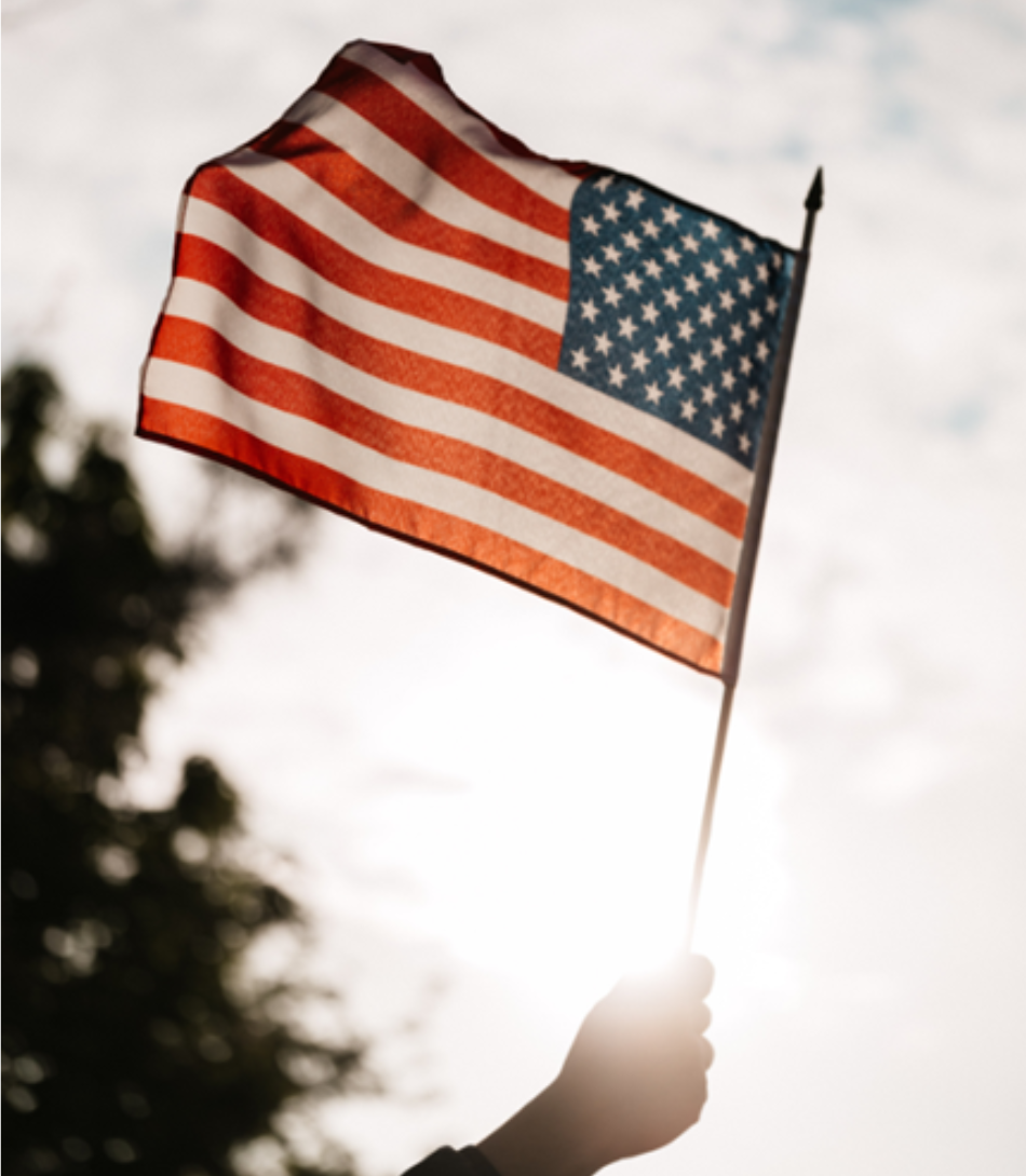 hand holding an American flag in the air with the sky and a tree in the background