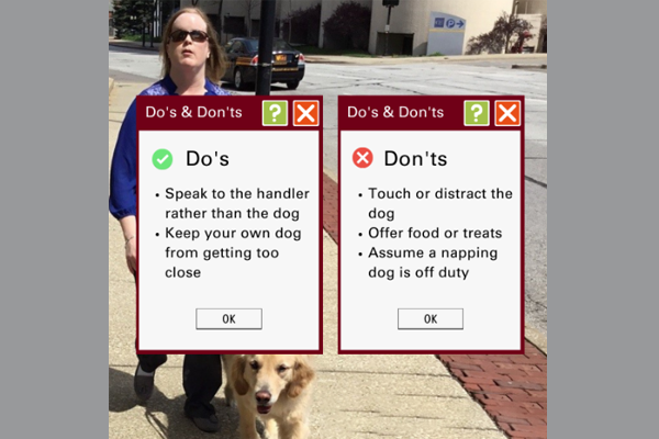 Photo of person wearing glasses and walking with dog, Text, do's and don'ts for when you see a service dog