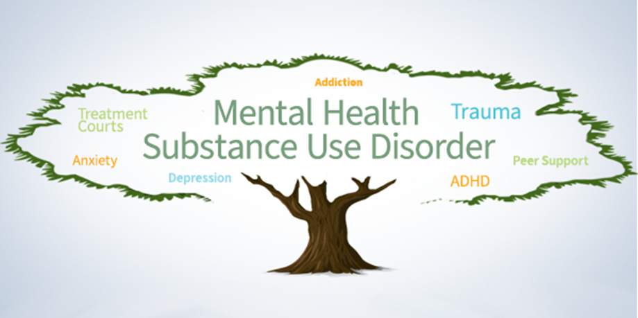 Mental Health Substance Use Disorder