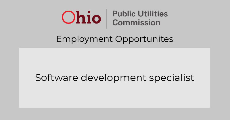 Software development specialist