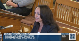 Chair French giving testimony