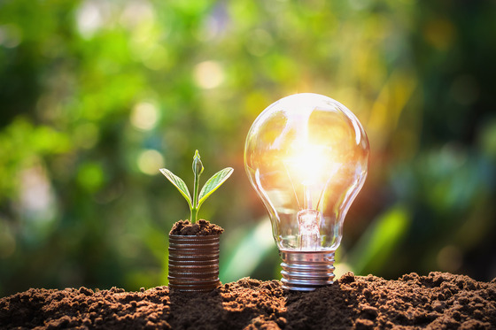 Light bulb and plant