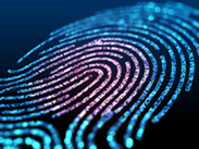 image of digital fingerprint