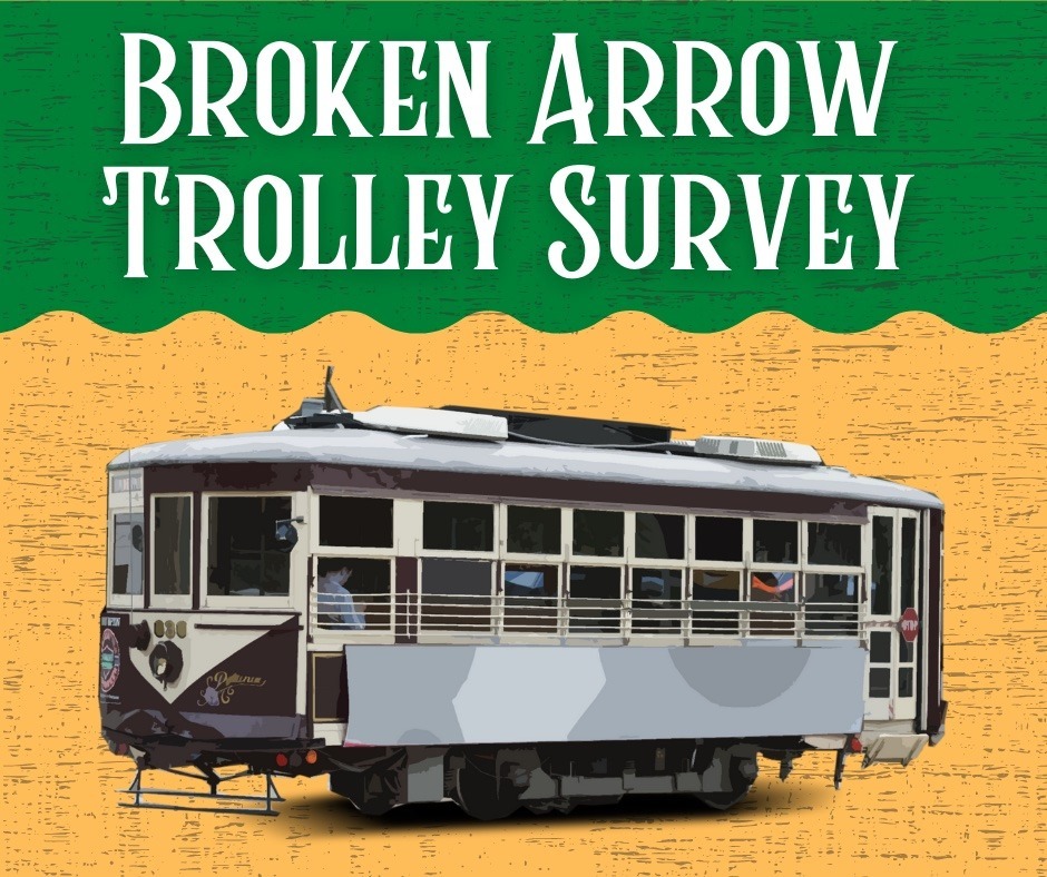BA Trolley Survey