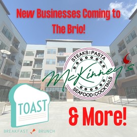 New Businesses in The Brio