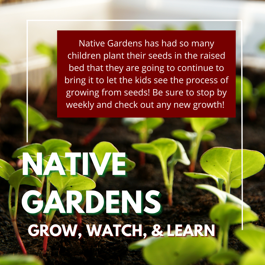 Rose District Farmers Market